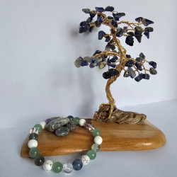 Bracelet Aide Cholestérol